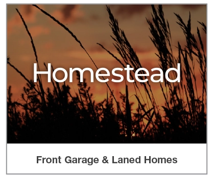 The Community of Homestead