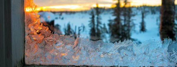 Frosty Windows