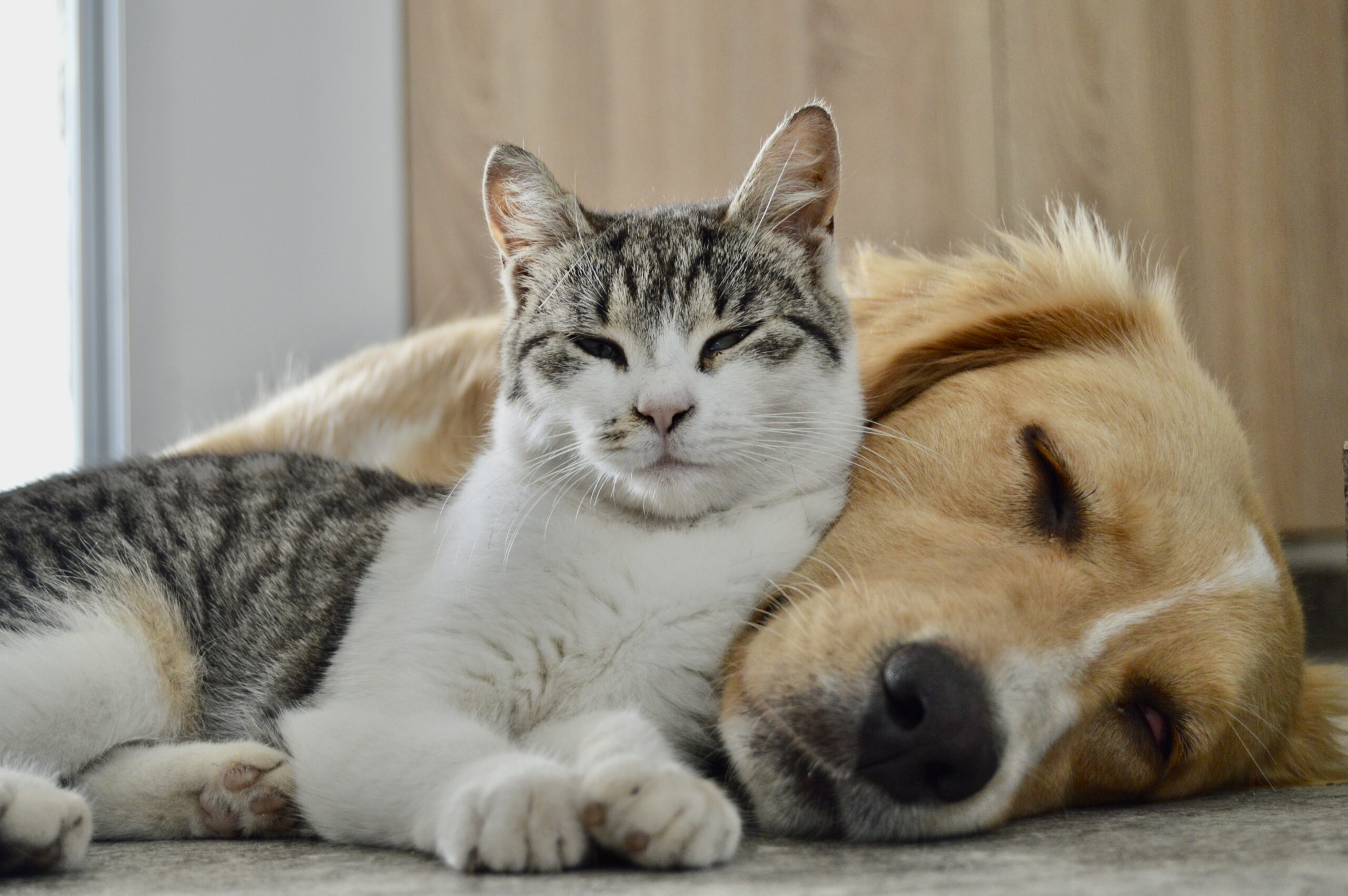 AARCS